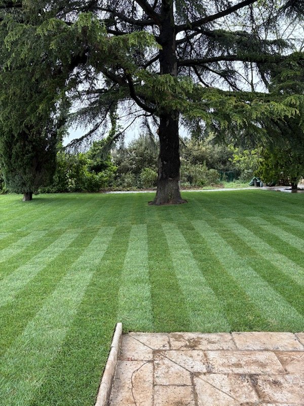 Jardin réalisé à partir de plaques de gazon de la gazonnière les arômes